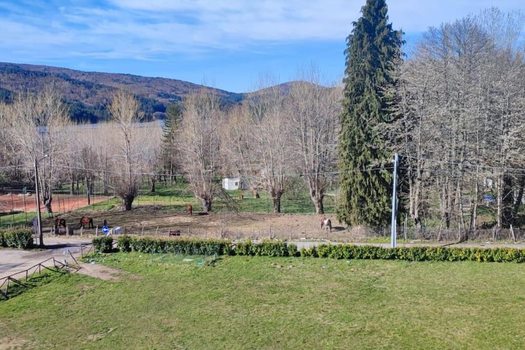 Loricalabria-Appartamento Lorica Le Macchie Esterno foto